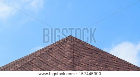 Decorative Metal Tile On A Roof. Types Of A Roof Of Roofs