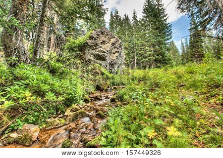 Spring or stream in the Wasatch National Forest Albion Basin in Utah, by Salt Lake City