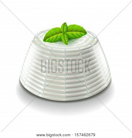 Ricotta soft cheese isolated on white photo-realistic vector illustration