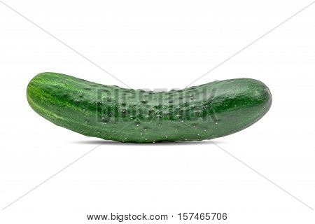 Fresh ripe cucumber on white background isolated