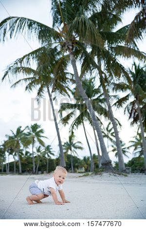 Adorable toddlerboy crawling in a tropic park. Cute little boy learning to walk outside on the sandy ocean beach. Small child near palms.