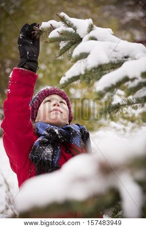 Portrait of cute kid boy playing with snow near Christmas tree outdoors. Child having fun in the winter park. Lifestyle and holidays concept