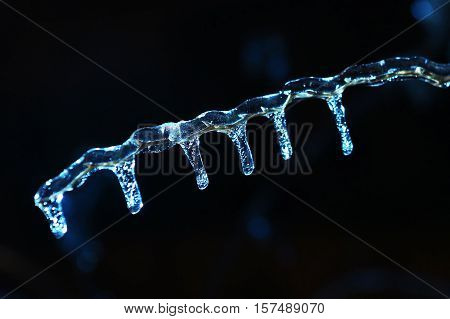 frosen icicles on tree branches night sceen close up picture