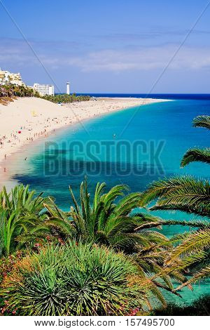 The beach Playa de Morro Jable with green palms view on the town and the Atlantic coast. Location the Canary island Fuerteventura Spain.