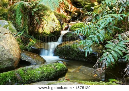 Regnskoven Creek