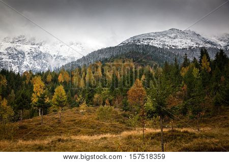 Rodna Mountains in early winter, Transylvania - Romania