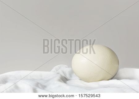 Ostrich egg on a white cloth in a grey background