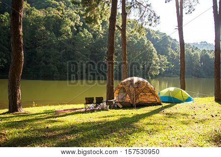 Sun rise at Pang-ung Pine forest in Thailand select and soft focus