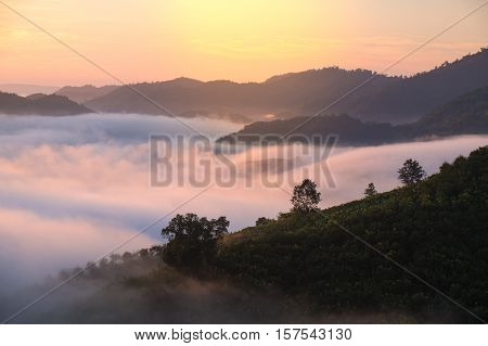 Beautiful sunrise view and sea of clouds from Phuhuayesan in Nong khai provience, Thailand.