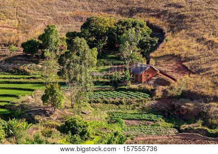 Malagasy Farm With Terraced Fields