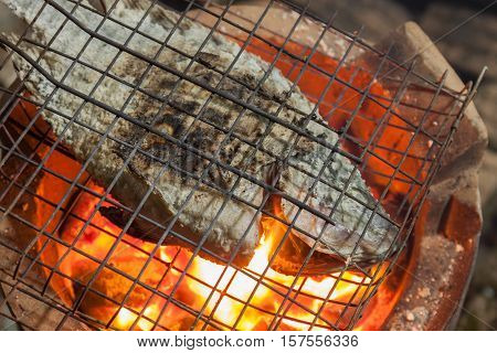 Nile Tilapia Fish grilled on charcoal stove