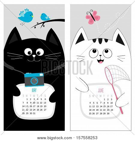Cat calendar 2017. Cute funny cartoon character set. May June spring summer month. Photo camera blue bird branch pink butterfly insect net. Dash line track. Flat design. Gray background. Vector