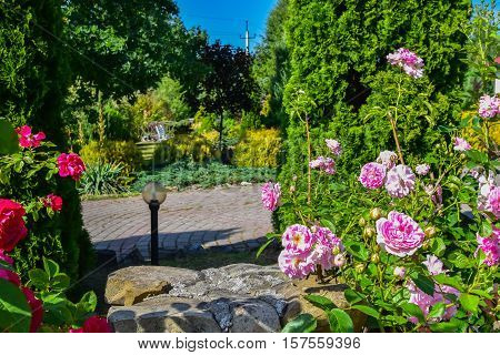 Garden and landscape design. Beautiful flowers and shrubs.
