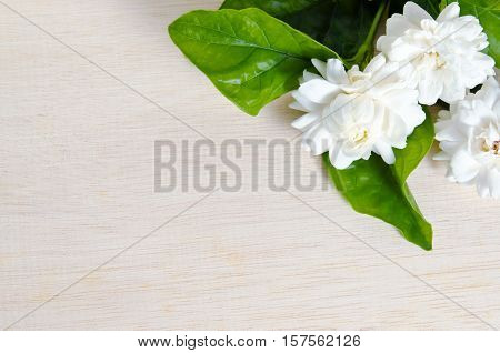 Jasmine Flower On Wood Board Background With Blank Copy Text Space