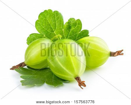 Gooseberry isolated on white background. Heap of green ripe gooseberry with leaf isolated on white background. Gooseberry closeup