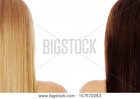 Long hair. Hairstyle. Hair salon. Woman with healthy hair.