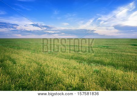 Astrakhan steppe under beautiful sky shoot in May. Spring is beautiful time. Hills are green and covered by emerald grass. Panorama of steppe near salt lake Baskunchak Russia