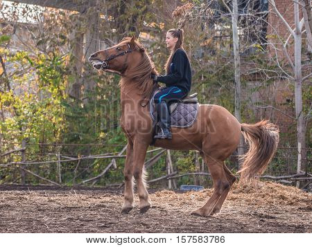 Young beautiful brunette girl rides a horse on a warm and sunny autumn day. Portrait of a pretty young woman on the horse, wearing tall boots and gloves.