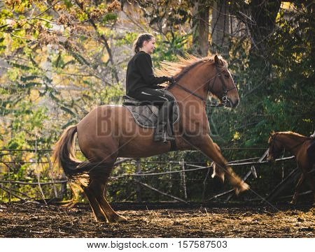 Young beautiful brunette girl rides a horse on a warm and sunny autumn day. Portrait of a pretty young woman on the horse, wearing tall boots and gloves.
