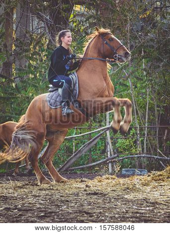 Young beautiful brunette girl rides a horse on a warm and sunny autumn day. Portrait of a pretty young woman on the horse, wearing tall boots and gloves.