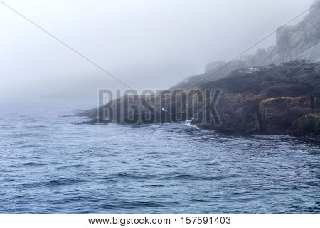 Majestic sea and rocks in heavy fog in Northern Norway