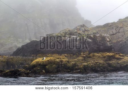 Majestic sea and rocks in heavy fog in Northern Norway