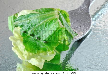 Insalata fresca