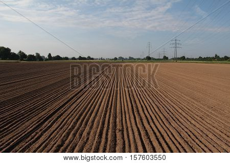 Furrow / Arable / Freshly plowed field