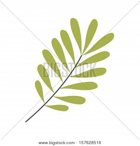 Green leaves Silhouette with ramifications vector illustration