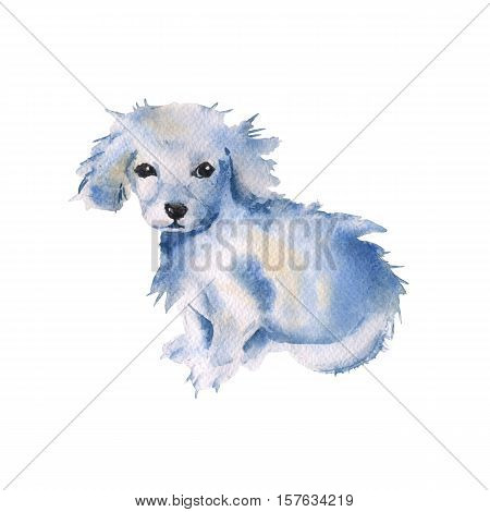 White puppy. Isolated on a white backgroundd. Postcard greetings. watercolor illustration.