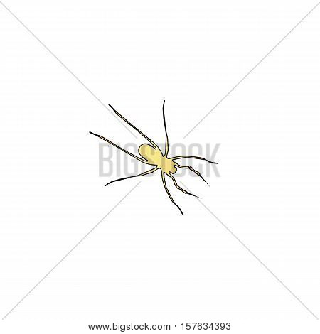 Spider Gold vector icon with black contour line. Flat computer symbol