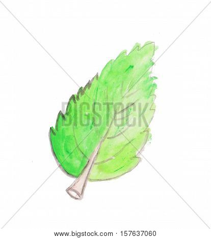 watercolor leaf saving energy or children placeholder