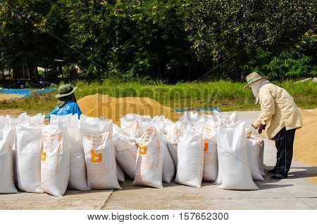 Northeast of Thailand A traditional drying systems are still practiced in many areas of Thailand because of its low cost and ease of management November 20 2016