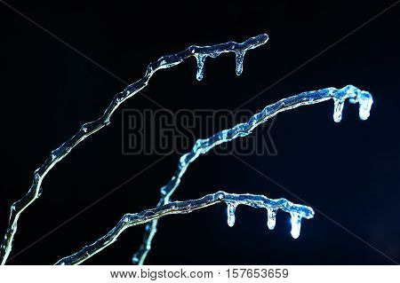 frosen icicles on tree branches night sceen close up picture