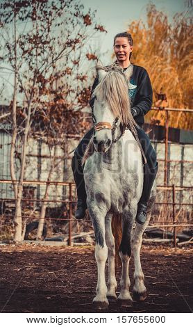 Young beautiful brunette girl rides a horse bareback with hackamore. Warm and sunny autumn day. Portrait of a pretty young woman on the horse, wearing tall boots and gloves.