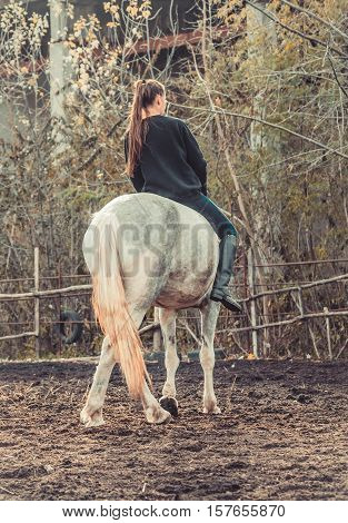 Young beautiful brunette girl rides a horse bareback with hackamore. Warm and sunny autumn day. Portrait of a pretty young woman on the horse, wearing tall boots and gloves.