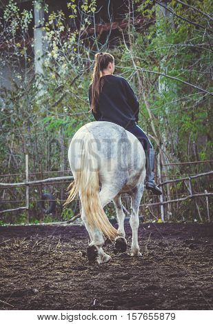 Young beautiful brunette girl rides a horse bareback with hackamore. Warm and sunny autumn day. Portrait of a pretty young woman on the horse, wearing tall boots and gloves.