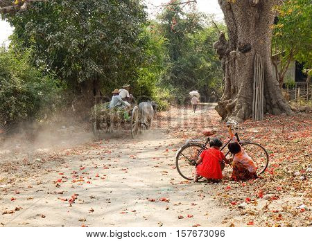Children Playing With The Bicycle