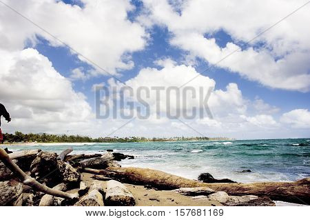 Pacific beach, sea-view, turquoise, beach, logs, clouds