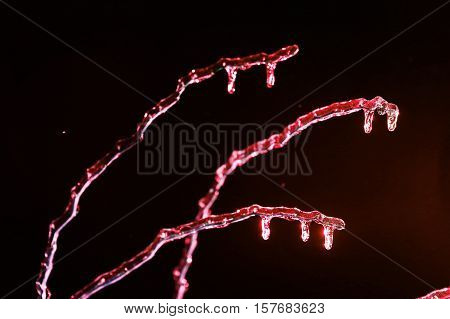 frosen icicles on tree branches night sceen close up picture