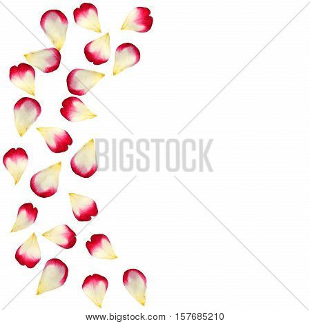 Red Rose Petals Scattered On The Floor In A Semi-circle. 3D Illustration