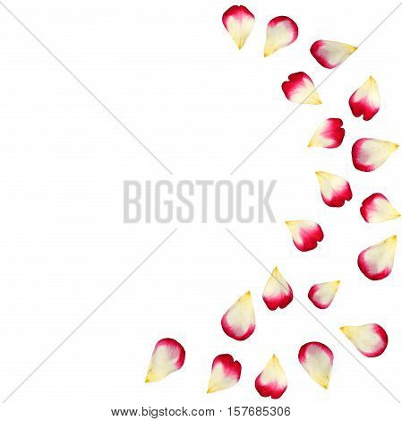 Red Rose Petals Scattered On The Floor In A Semi-circle. 3D Illustration