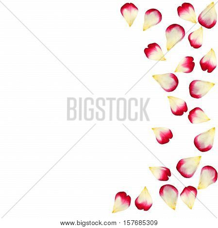 Red Rose Petals Scattered On The Floor In A Semi-circle. 3D Illustration