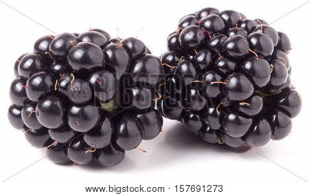 two blackberry isolated on a white background closeup.