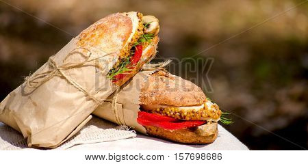 Two Sandwiches With Chicken At A Picnic