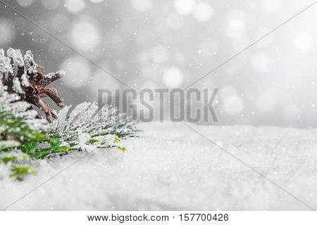 snow background closeup decoration white christmas space snowflakes branch horizontal copy space nobody xmas pine glitter card holiday concept - stock image