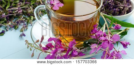 Tea Made From Fireweed. Herbal Tea. Medicinal Plants.