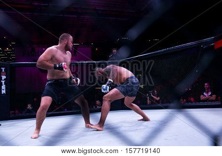 NOVI SAD SERBIA - NOVEMBER 05 2016 : MMA - SBC FIGHT TURNAMENT. ATHLETES IN THE RING EXTREME SPORT. FIGHT NIGHT PROFESIONAL ATHLETESSELECTIVE FOCUS WITH SHALLOW DEPTH OF FIELD NOVEMBER 05 2016 NOVI SAD SERBIA