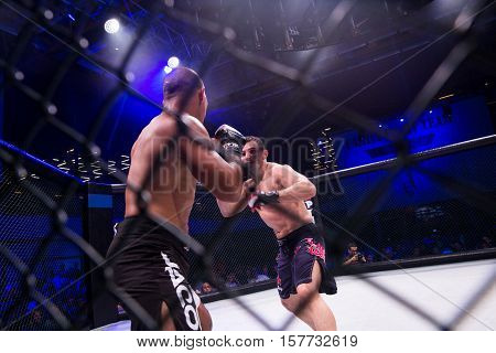 NOVI SAD SERBIA - NOVEMBER 05 2016 : MMA - SBC FIGHT TURNAMENT. ATHLETES IN THE RING EXTREME SPORT. FIGHT NIGHT PROFESIONAL ATHLETES NOVEMBER 05 2016 NOVI SAD SERBIA
