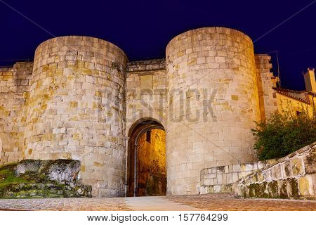 Zamora door of Dona Urraca in Spain by the via de la Plata way of Saint James